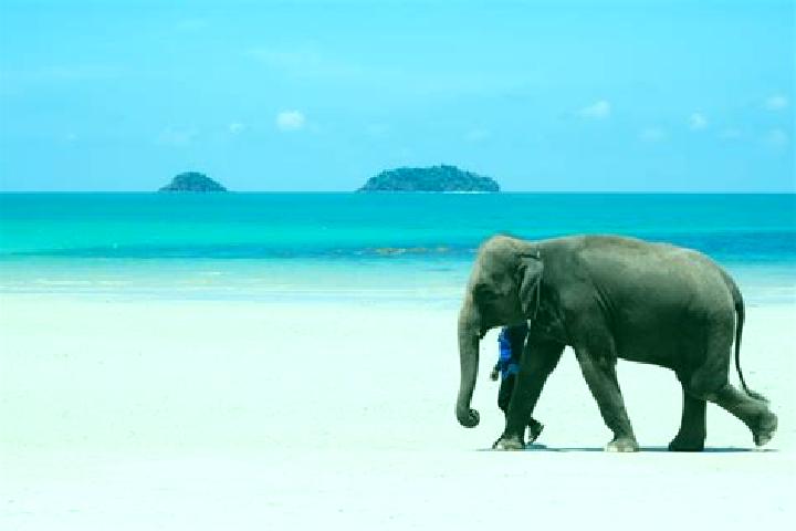 escort Ko Chang