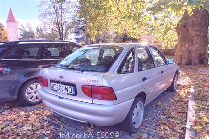 escort Kodyma