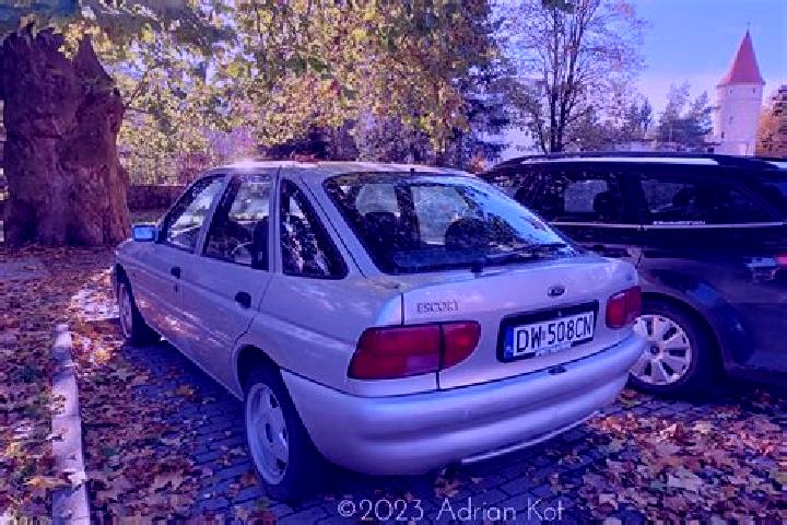 escort Kohfidisch