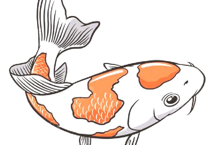 escort Koi Kouassikro
