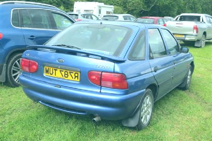 escort Kollmoor
