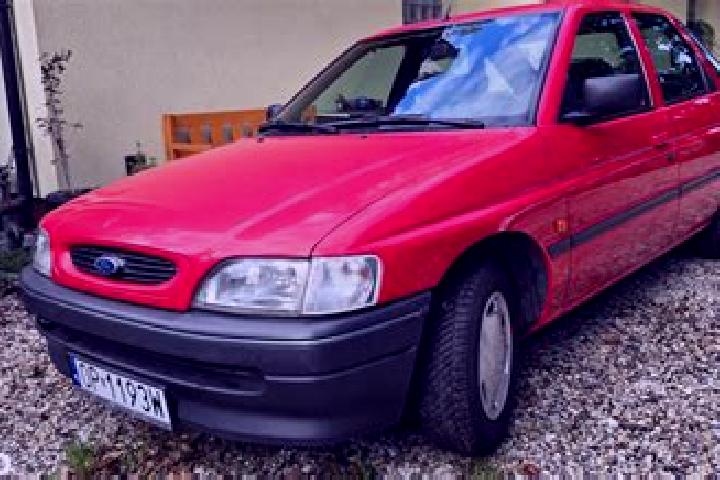 escort Kolor