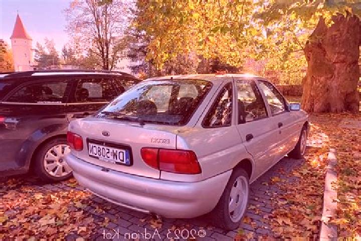 escort Komoro