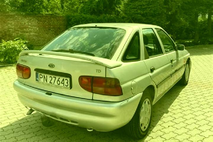 escort Konin