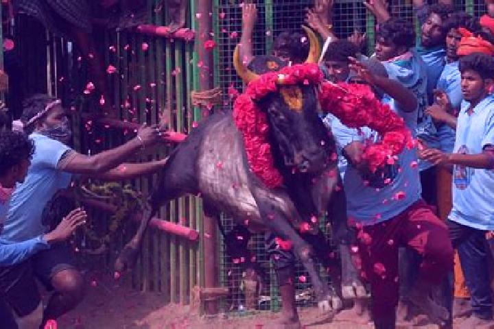escort Koothappar