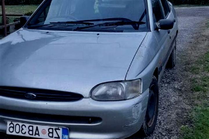 escort Kosaya Gora