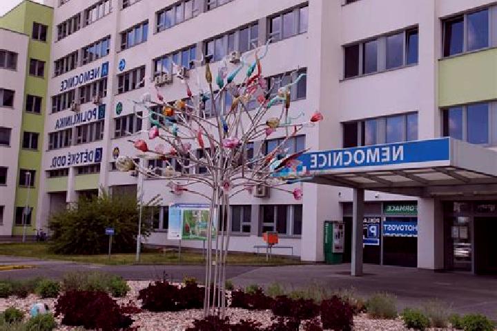 escort Kosice
