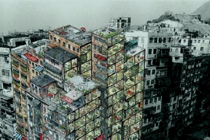 escort Kowloon City