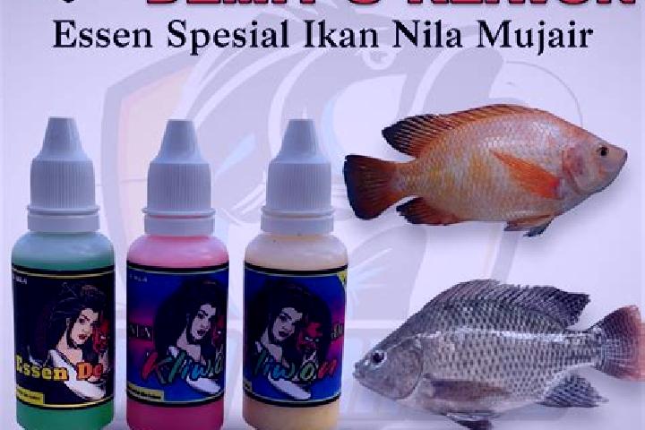 escort Krajan Demit