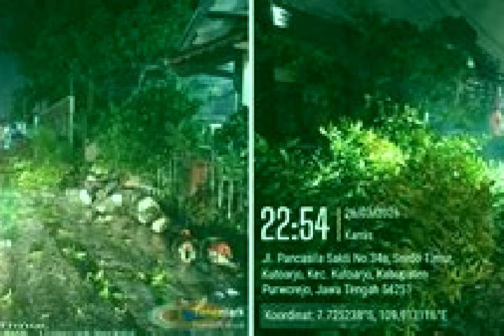 escort Krajan Senepo