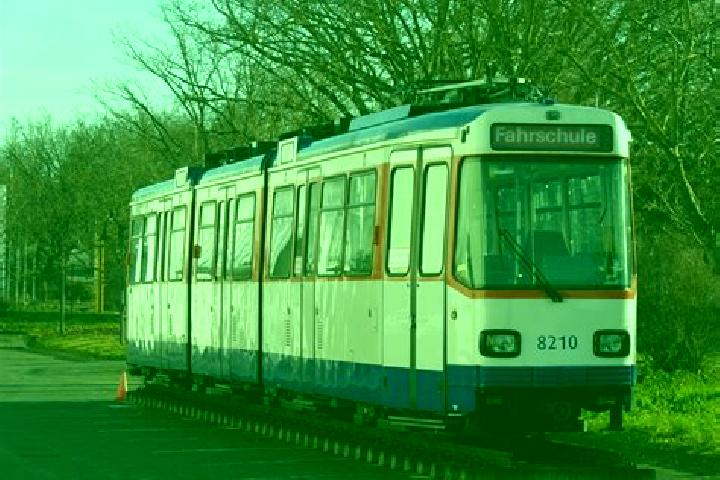 escort Kranichstein