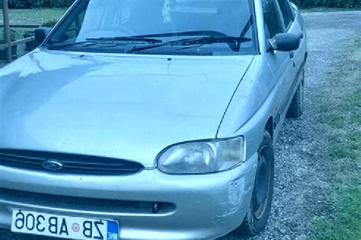escort Krasnaya Gora