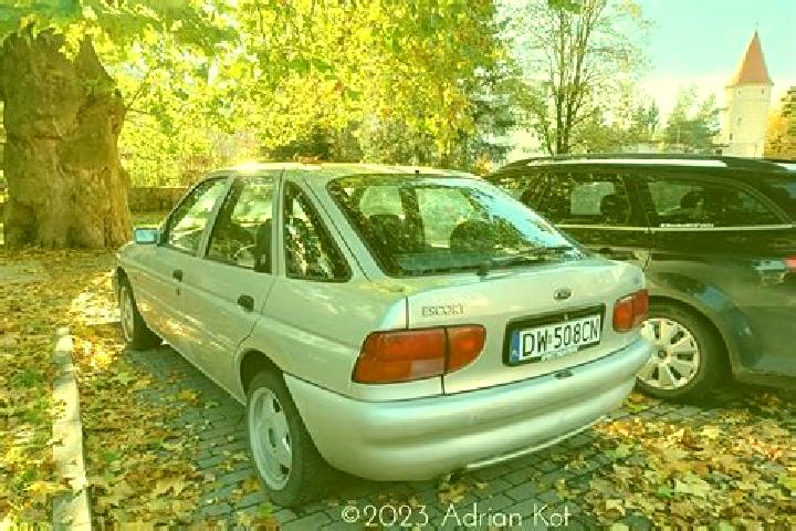 escort Krasnogvardeyskoye