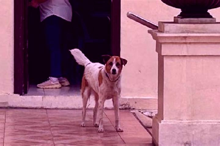 escort Krasnyy Chikoy
