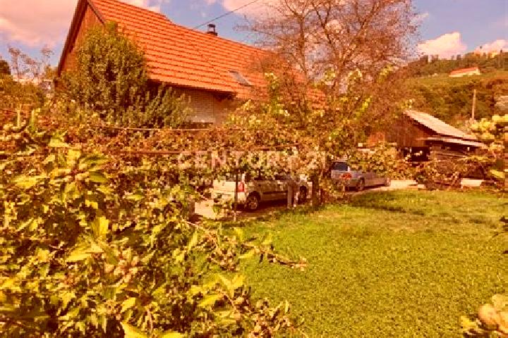escort Krcevina pri Vurbergu
