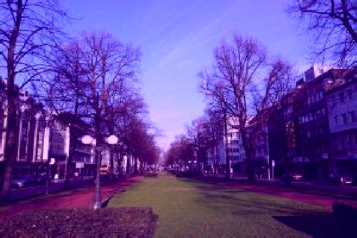 escort Krefeld