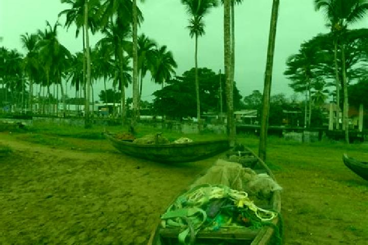 escort Kribi