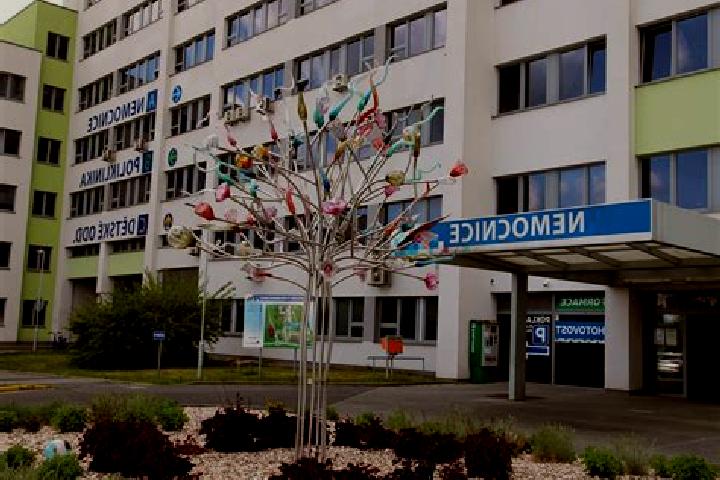 escort Krnov
