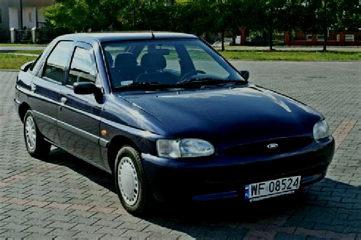 escort Krokowa