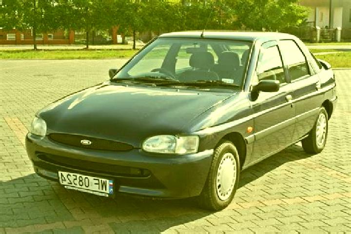 escort Krzecin