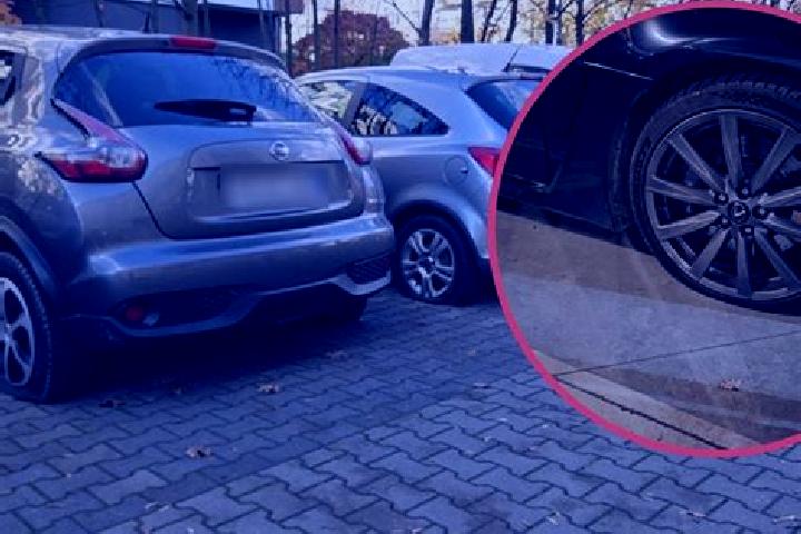 escort Krzyki-Partynice