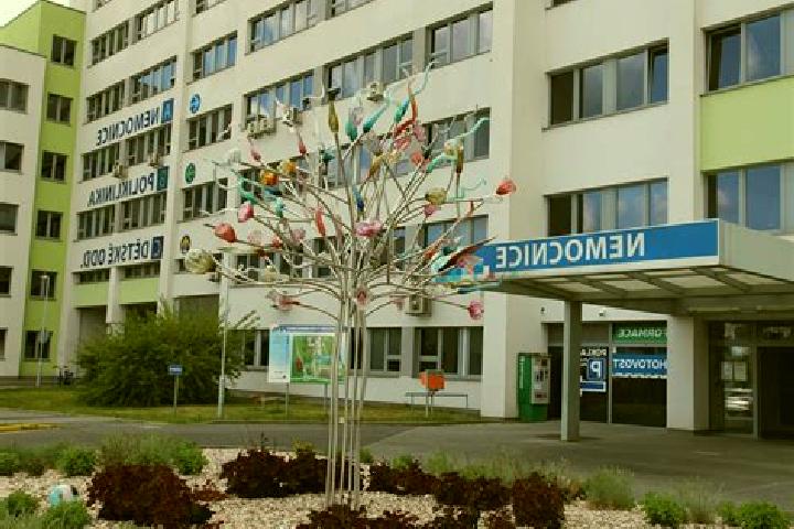 escort Kuncice nad Labem