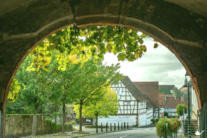 escort Kutzenhausen