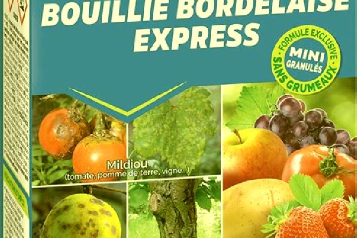 escort La Bouillie