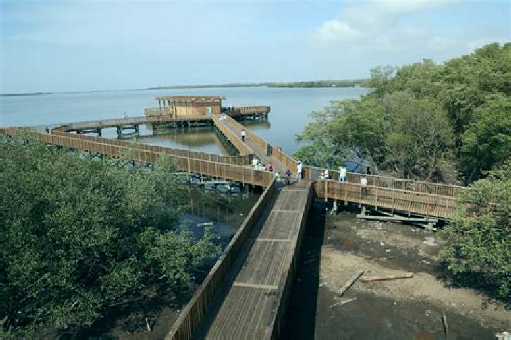 escort La Cienaga