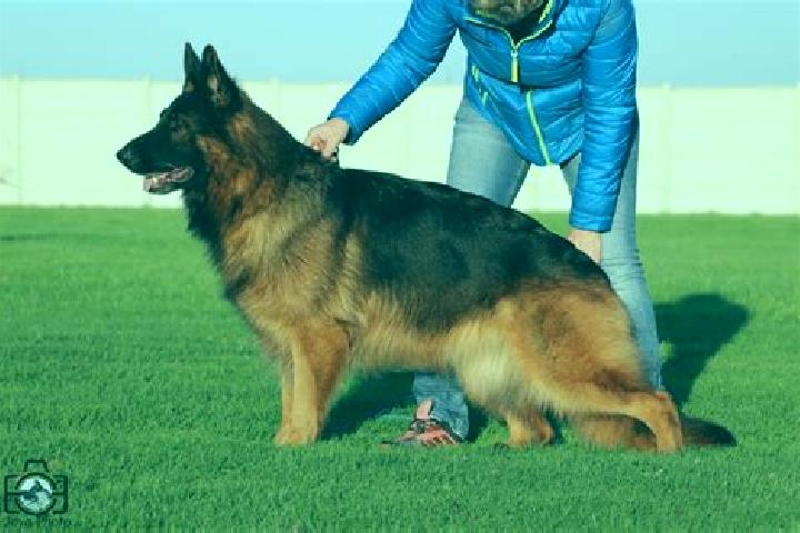 escort La Cretaz-Roisan