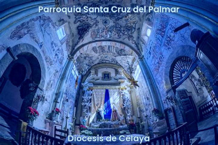 escort La Cruz del Palmar