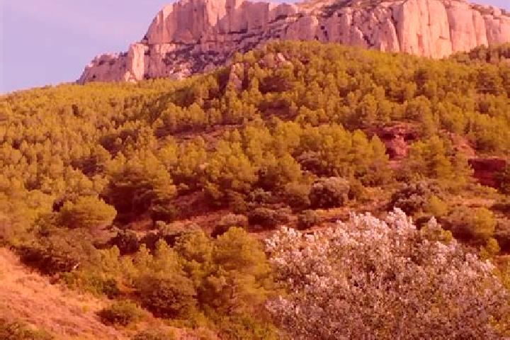 escort la Morera de Montsant