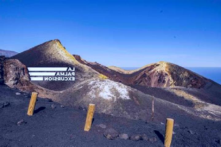 escort La Palma