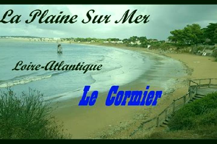 escort La Plaine-sur-Mer