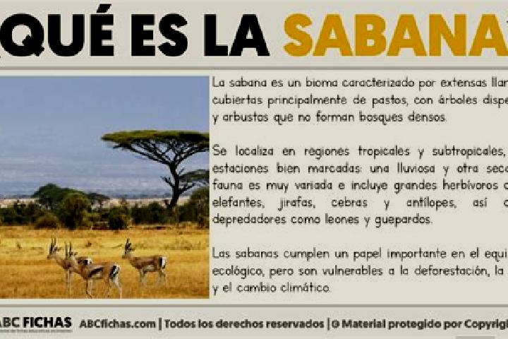 escort La Sabana