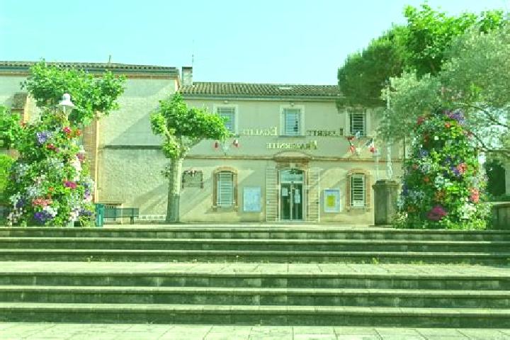 escort La Salvetat-Saint-Gilles