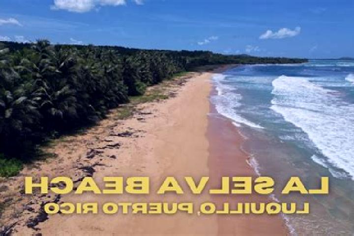 escort La Selva Beach
