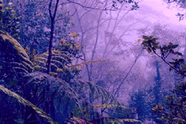 escort La Selva Natividad