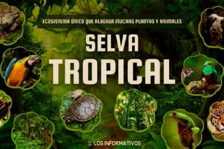 escort La Selva