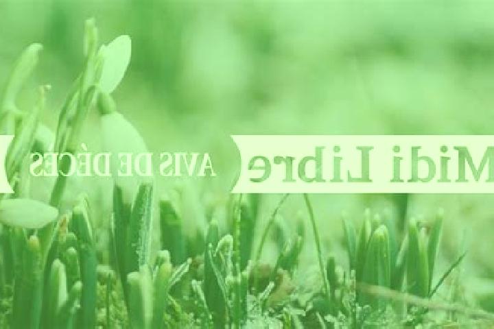 escort La Selve