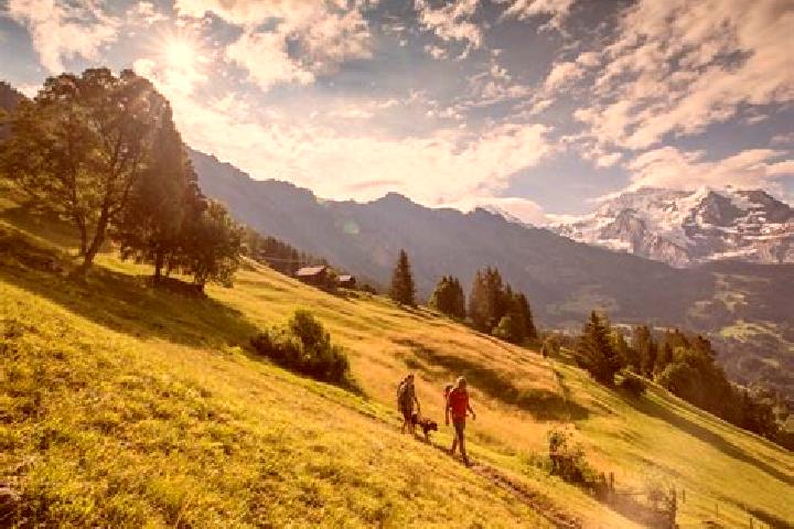 escort La Valle - Wengen