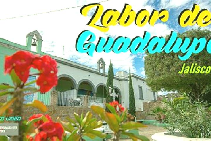 escort Labor de Guadalupe