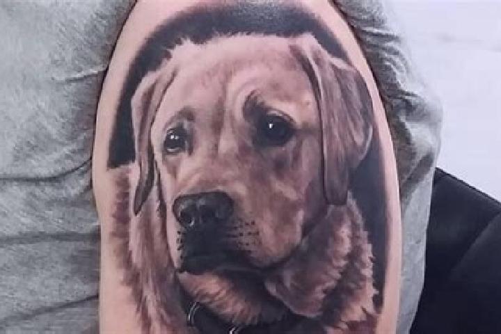 escort Labrador