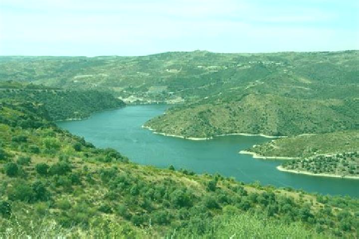 escort Laguna de Duero