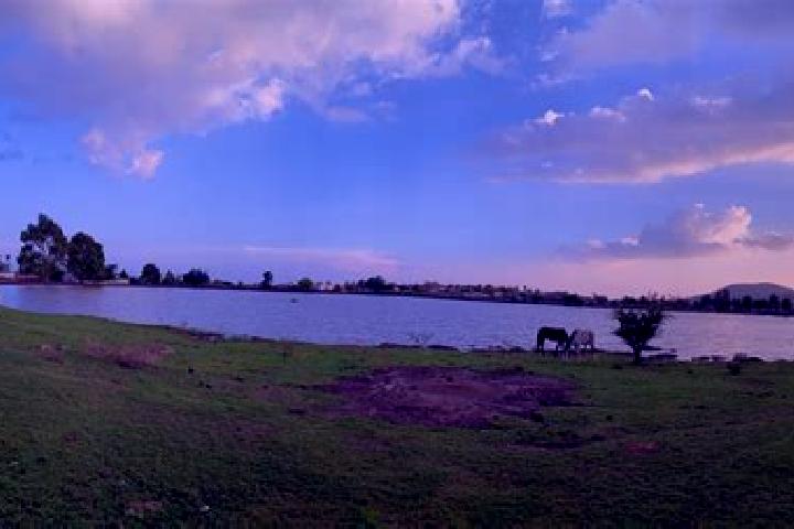 escort Laguna de Vaquerias