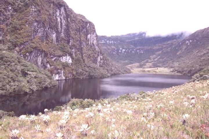 escort Laguna Grande