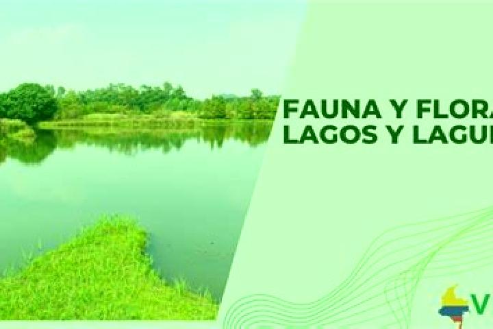 escort Lagunas