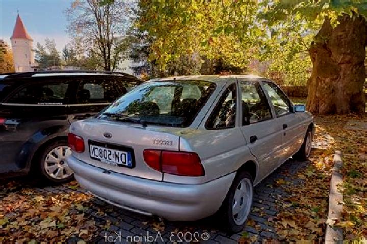 escort Laholm