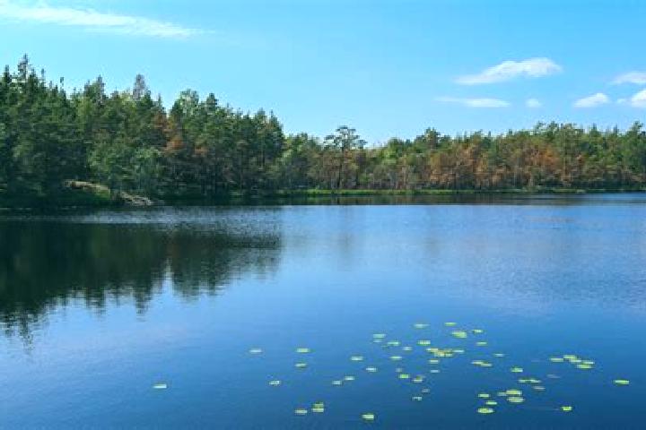 escort Lake Albert
