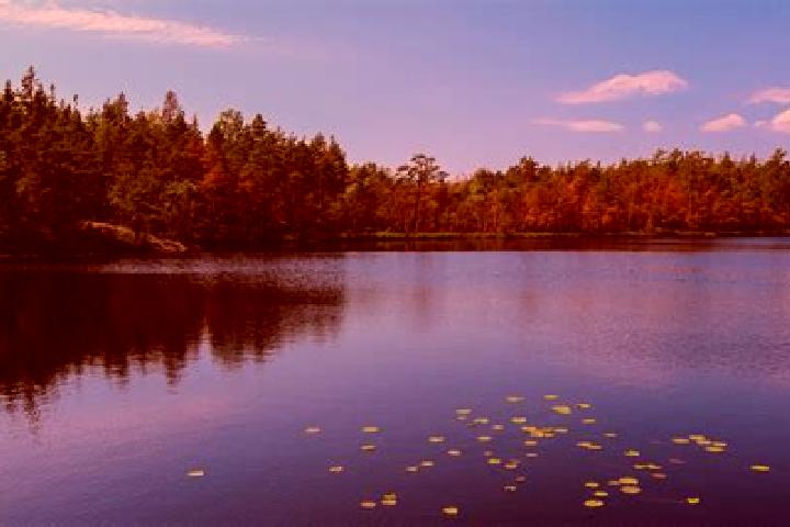 escort Lake Arthur